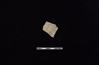 陶片藏品圖，第2張